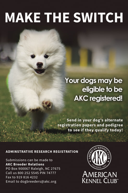 AKC Breeder program