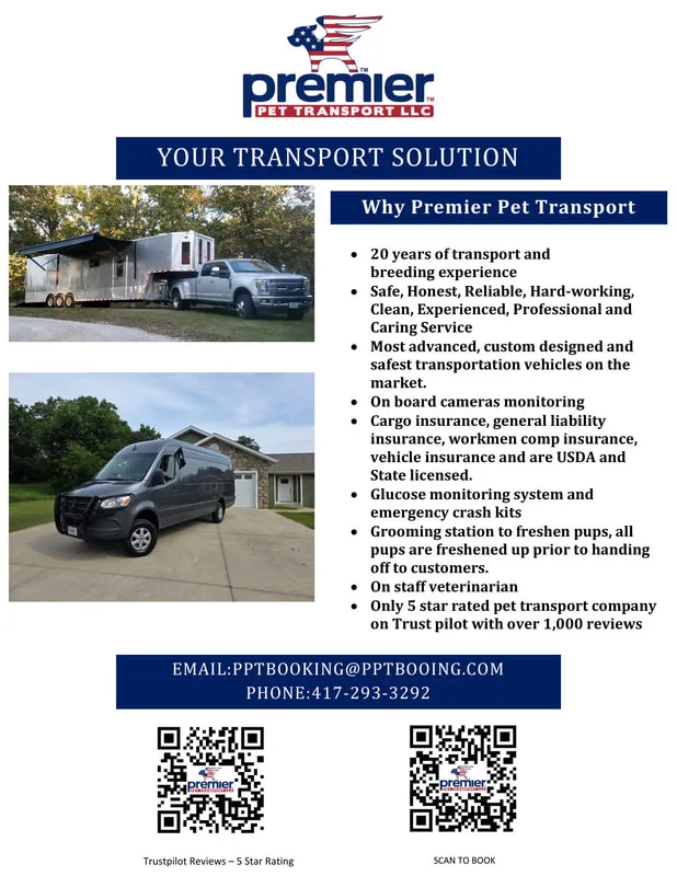 Premier Pet Transport